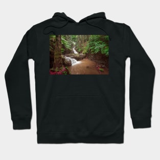 Double waterfall in the rainforest in Hawaii Hoodie